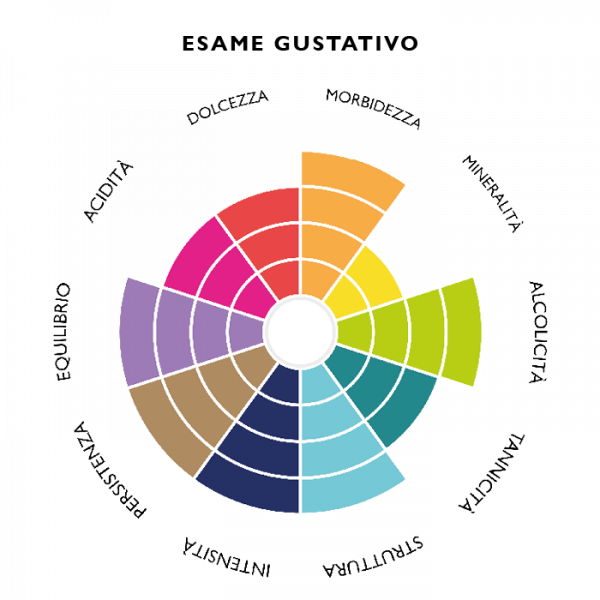 merlot-venezia-doc-ca-di-rajo-esame-gustativo merlot-venezia-doc-ca-di-rajo-esame-gustativo