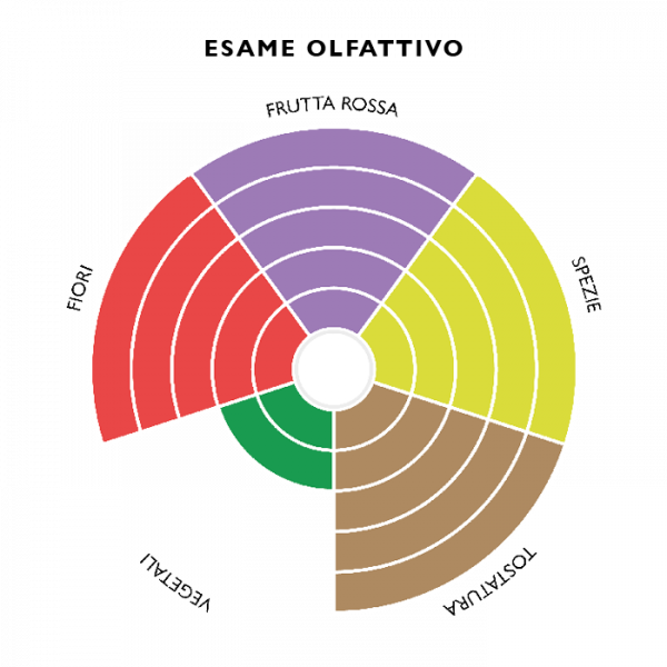 raboso-malanotte notti-luna-piena-ca-di-rajo-esame-olfattivo raboso-malanotte notti-luna-piena-ca-di-rajo-esame-olfattivo